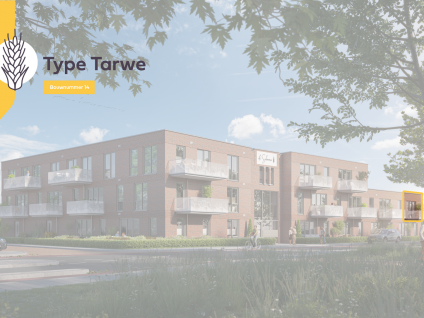 Tarwe 