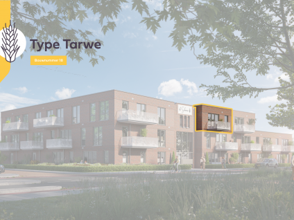 Tarwe 