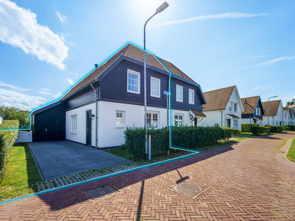 Zwanebloem 16