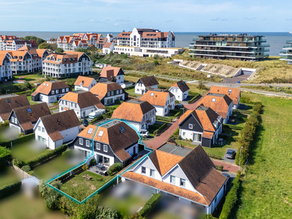 Zwanebloem 16