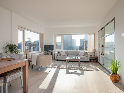 free-sector-houses for rent on Theresiastraat 12C