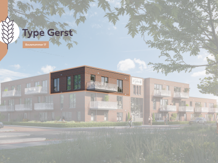 Gerst 