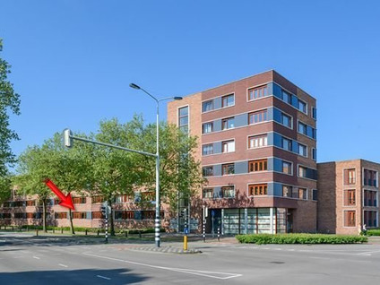 apartments for rent on Beverweg 55