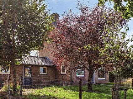 De Omloop 10