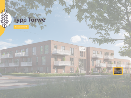 Tarwe 