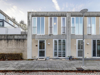 Stoutenburg 13