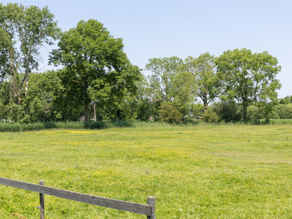 de Woerd ONG - 's-Hertogenbosch