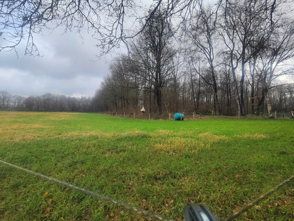 Schreursmaat - Westerbork