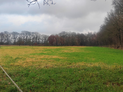 Schreursmaat 