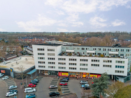 De Spinne 103