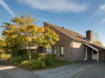 Crox Houcke 81
