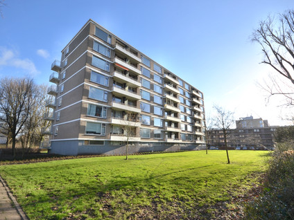 A rental house advertisment