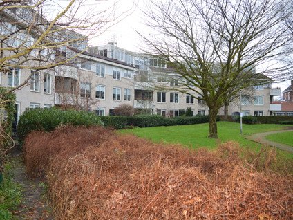 private-rentals for rent on Walnootstraat 71