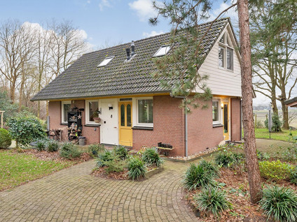 Witteveen 20y