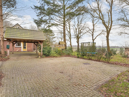 Witteveen 20y