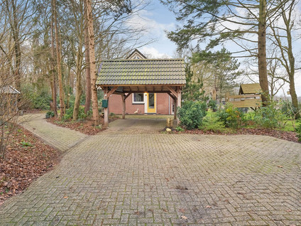 Witteveen 20y