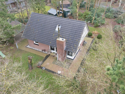 Witteveen 20y