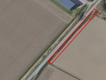 Boerendijk ONG