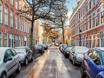 Newtonstraat 385
