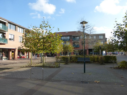 Koshof 3