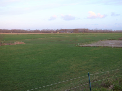 Maasdijk 132