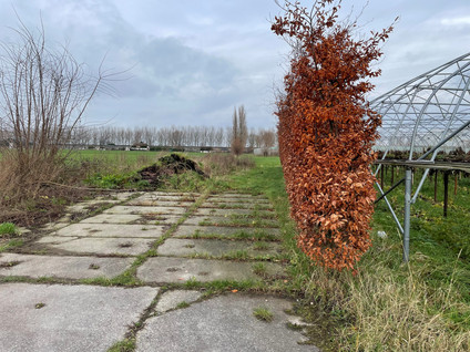 Slimweistraat 5
