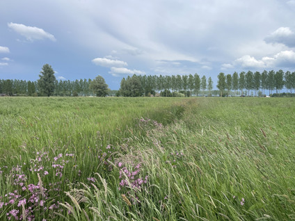 Middendijk 69