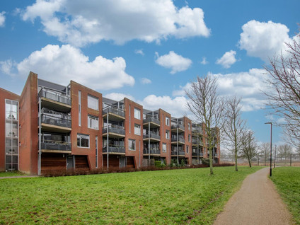 free-sector-houses for rent on Tjaarlingermeer 132