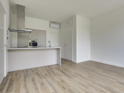 Wijngaardstraat 57