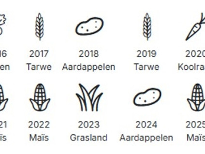 Horenhilsedijk 
