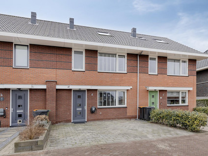 Jasmijn 19