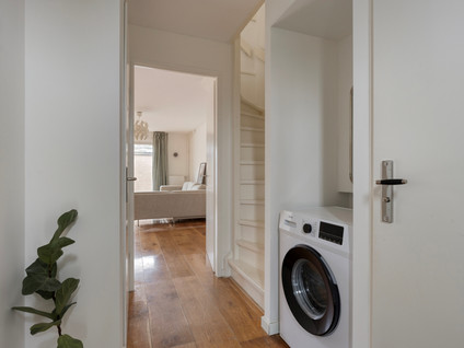Regenwulp 14