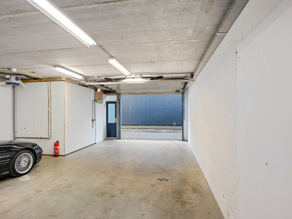 Witte Paal 245H