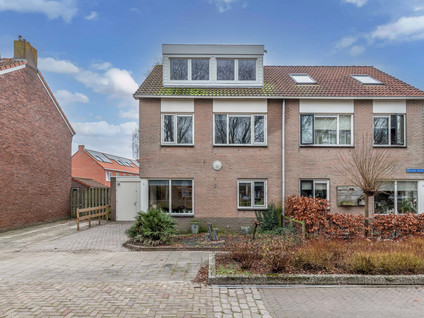 Groene Zoom 12