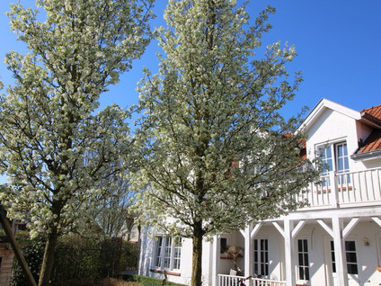 Groenevelt 12