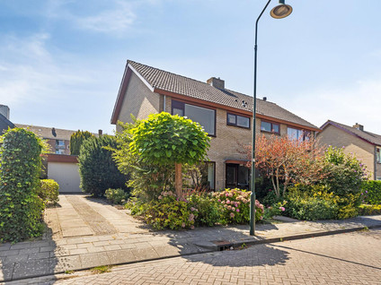 Werckendetstraat 8