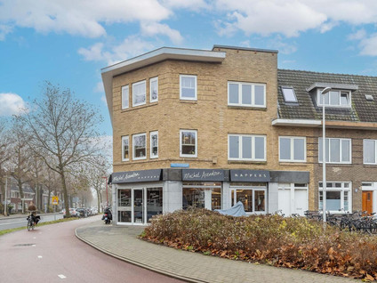 homes for rent on Pieter Nieuwlandstraat 113