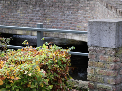 Graaf de Geloeslaan 17