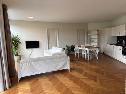 vrije-sector-woningen te huur op Van Boetzelaerlaan 245