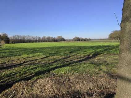 Koevoortseweg 