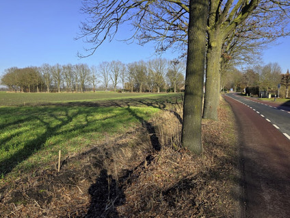 Koevoortseweg 