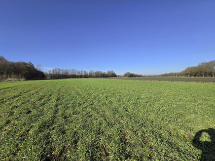 Koevoortseweg 