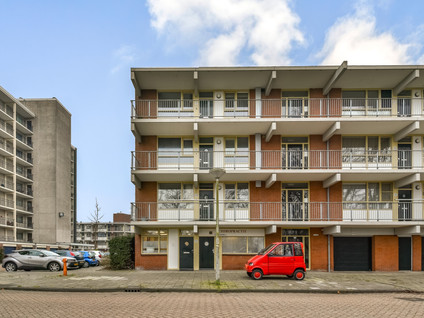 Amerbos 229