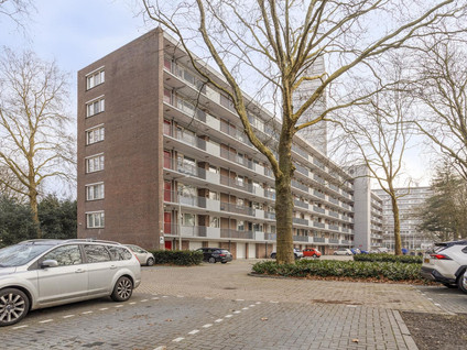 Cederstraat 81