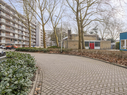 Cederstraat 81