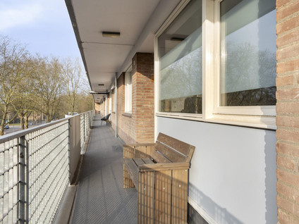 Cederstraat 81