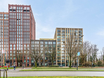 homes for rent on Mangoweg 19