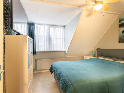 Hogeweg 41