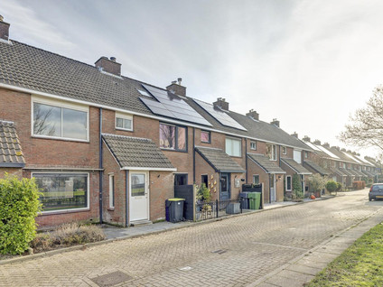 Pijlstaart 7