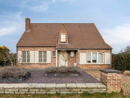 Paardenwiel 6 